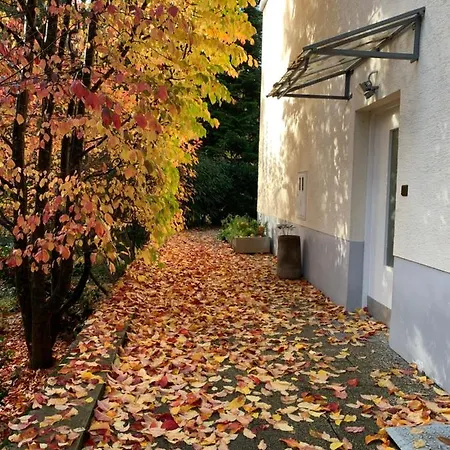 Vila Draga And Private Estate,