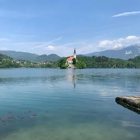 Draga And Private Estate, Vila Bled